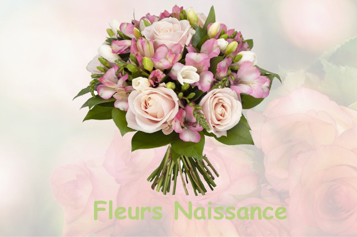 fleurs naissance BELBEZE-DE-LAURAGAIS