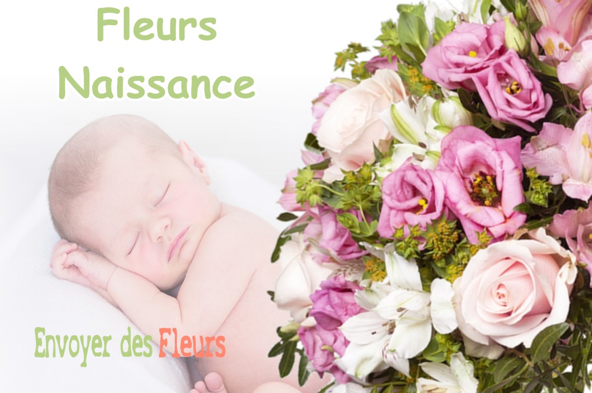 lIVRAISON FLEURS NAISSANCE à BELBEZE-DE-LAURAGAIS